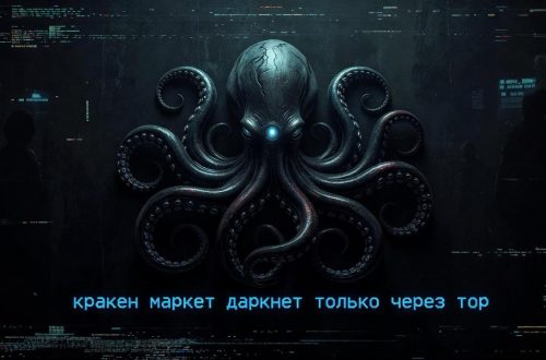 Кракен-маркет: цифровой архипелаг, где даркнет ждёт только через Tor